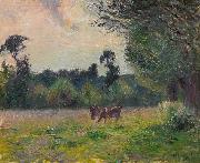 Camille Pissarro Vaches dans un pre, soleil couchant oil painting reproduction